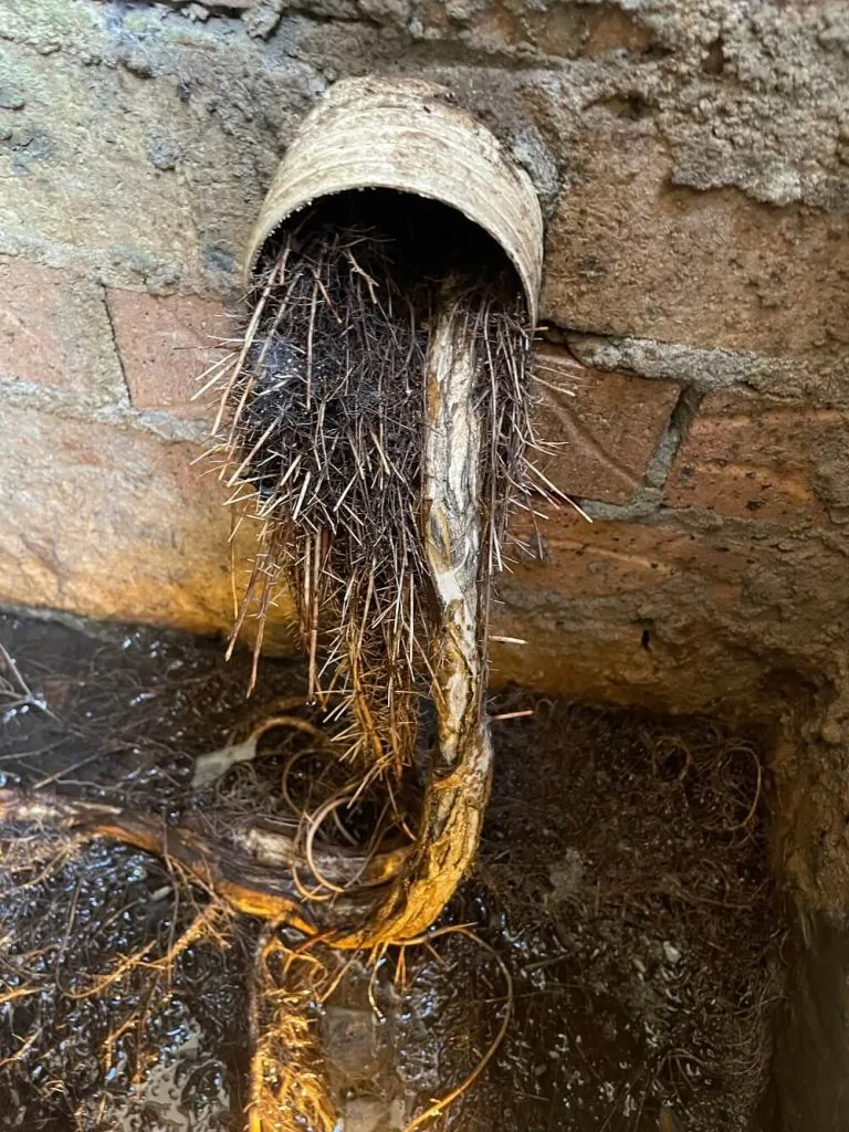 Blocked Drains