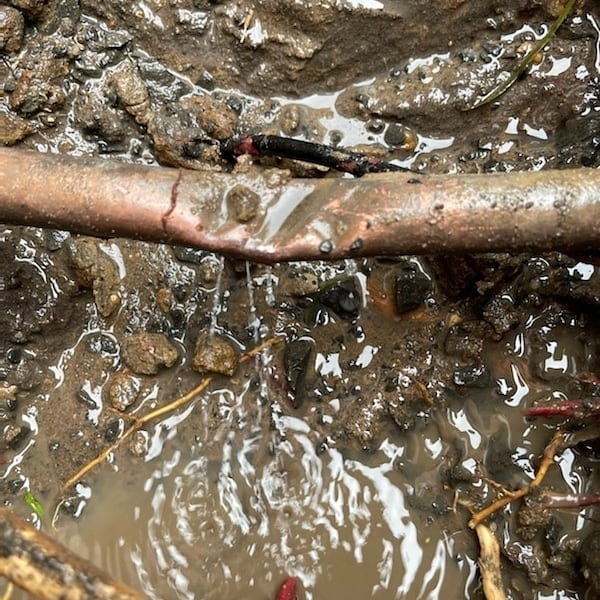 Leak Detection & Burst Pipe Repairs