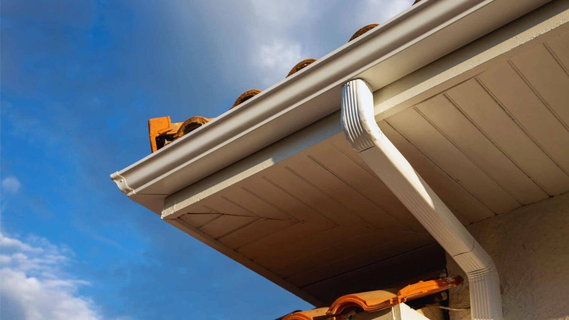 Roof Leaks & Guttering