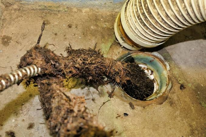 Fast Blocked Drain Solutions