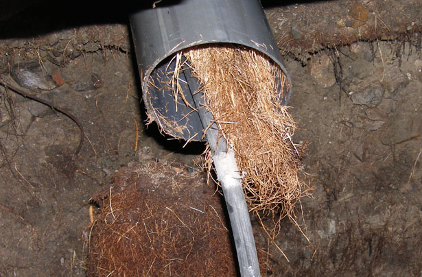Thorough Drain Cleaning Service