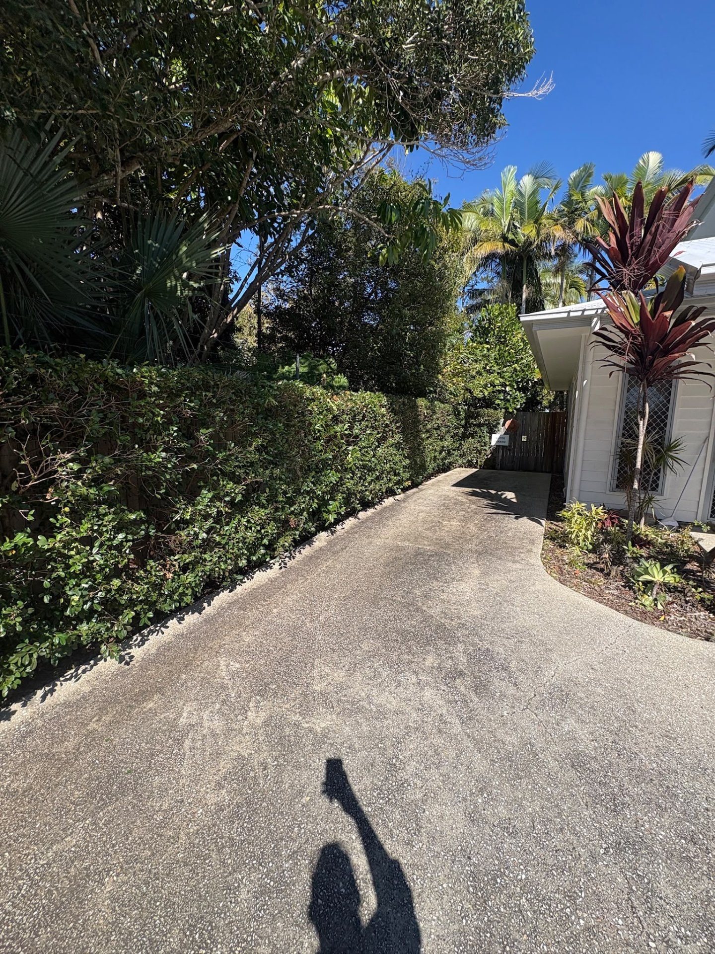 Hedge Trimming Service
