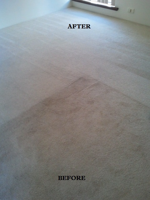 Rug Fibre and Construction Assessment