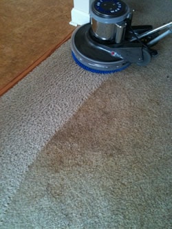 Carpet Steam & Dry Cleaning