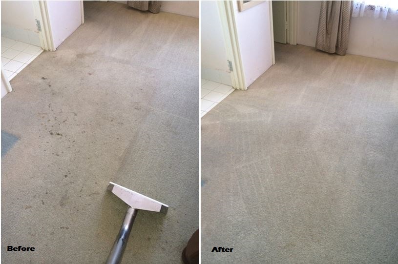 Water Extraction from Carpet