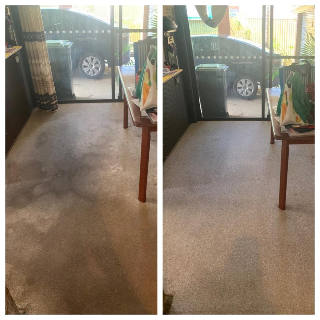 Carpet Stain Removal & Water Damage