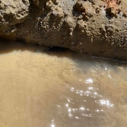Inspect and Locate Sewer Damage