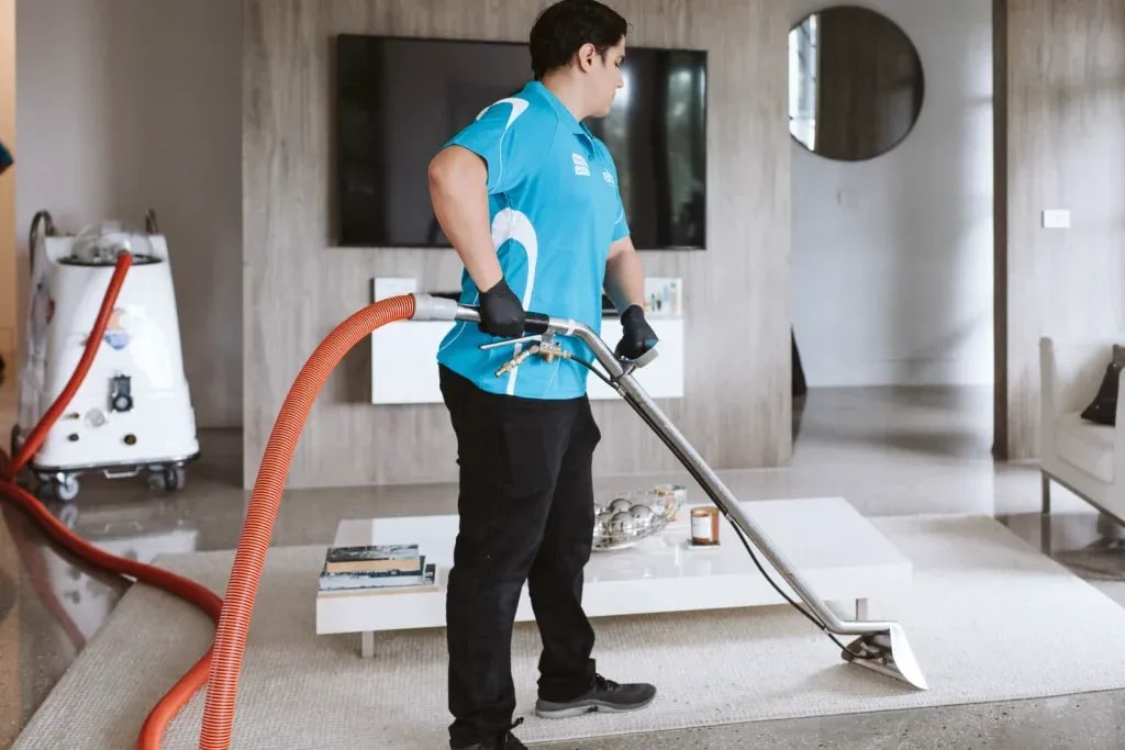 Carpet Cleaning