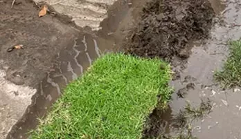 Blocked Drain Solutions