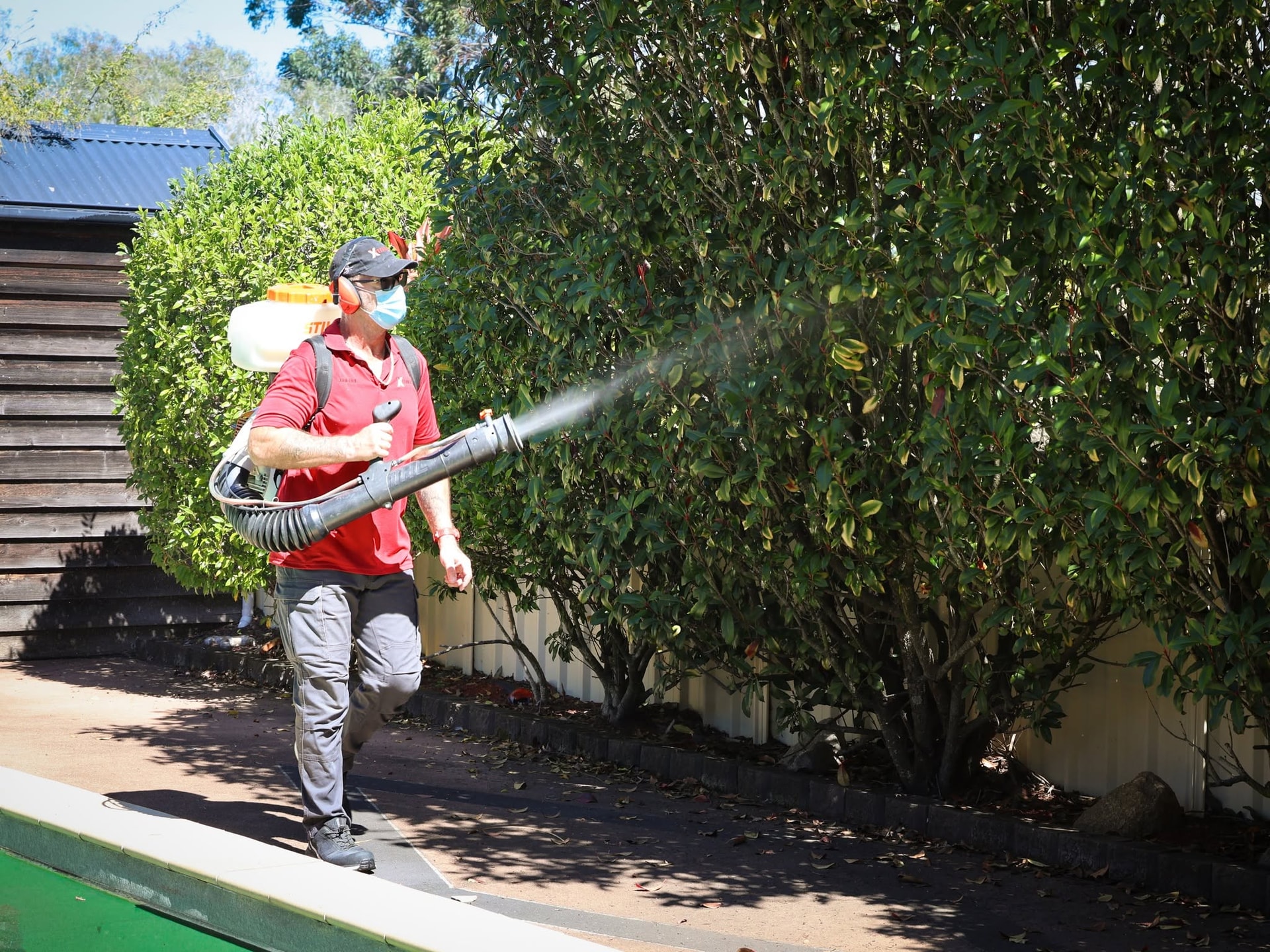 Spider & Wasp Pest Control