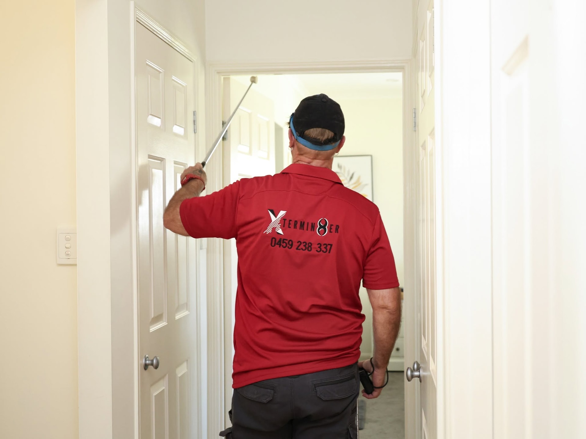 Professional Termite Inspections