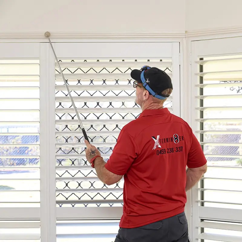 Termite Inspections