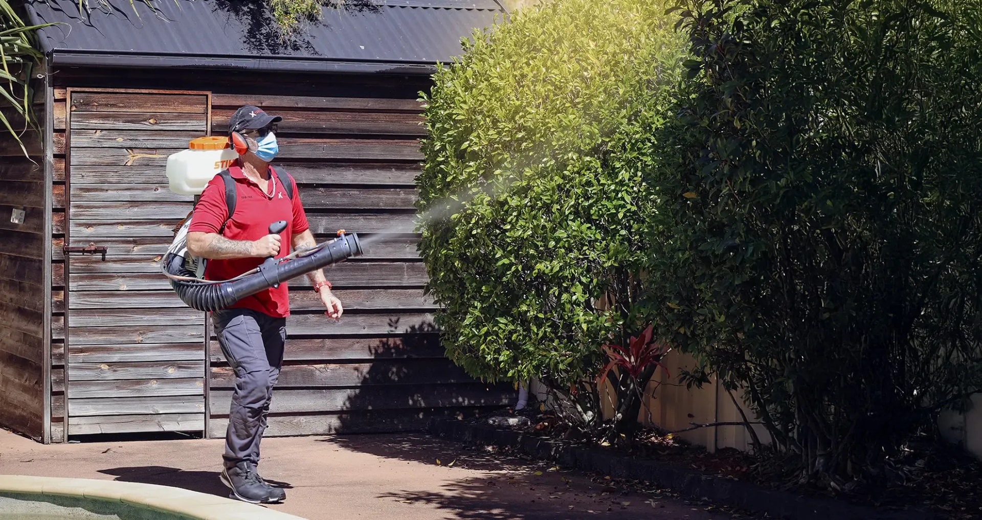 Targeted Pest Identification