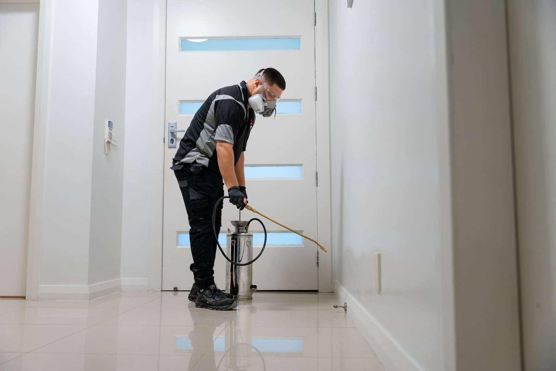 Termite & Rodent Control