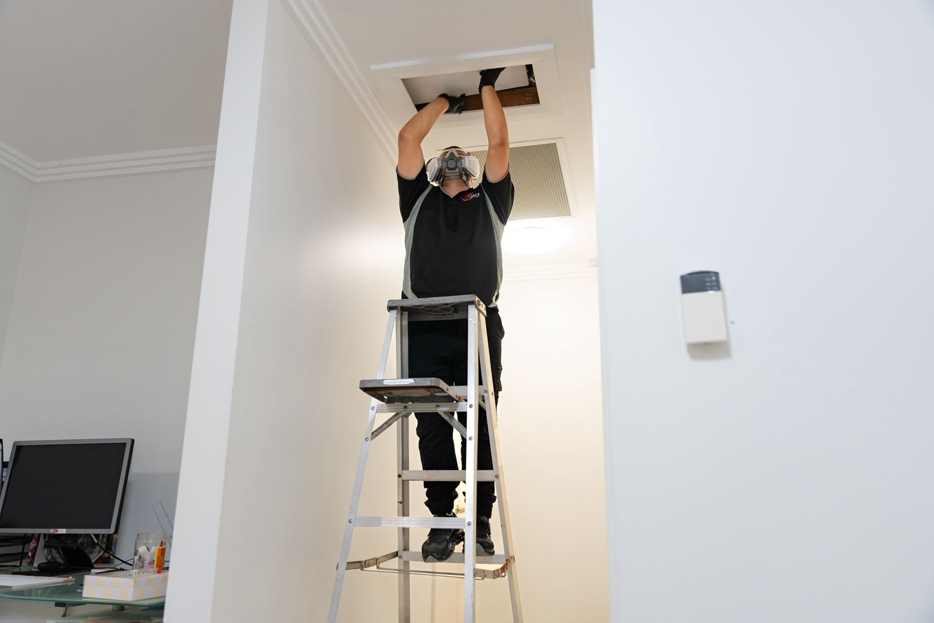 Preventative Pest Control