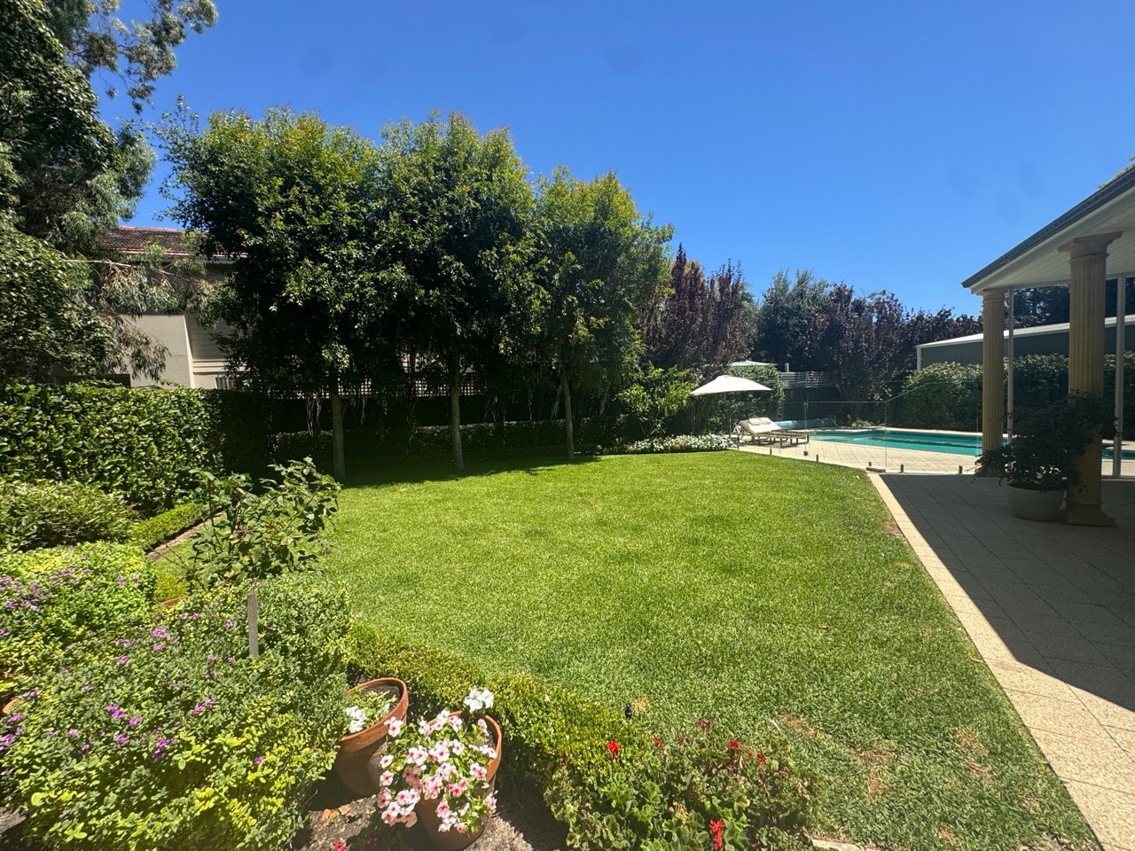 Lawn Care & Maintenance