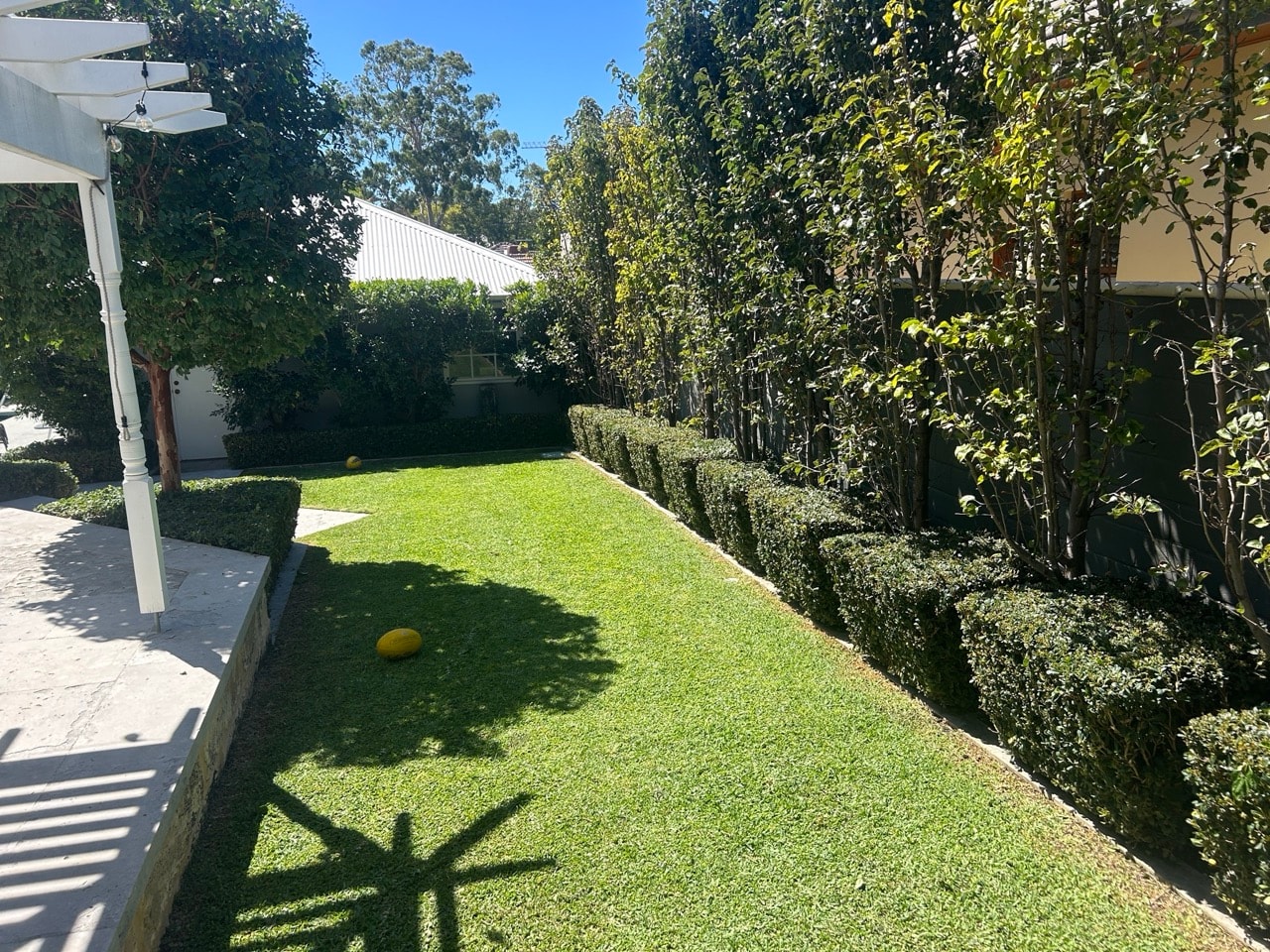 Consistent Lawn Care Solutions