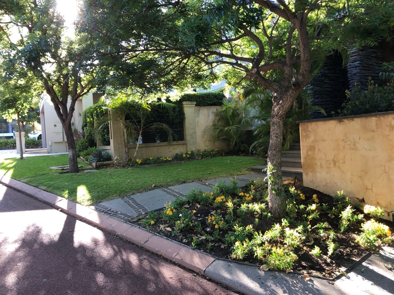 Seasonal Plant Selection