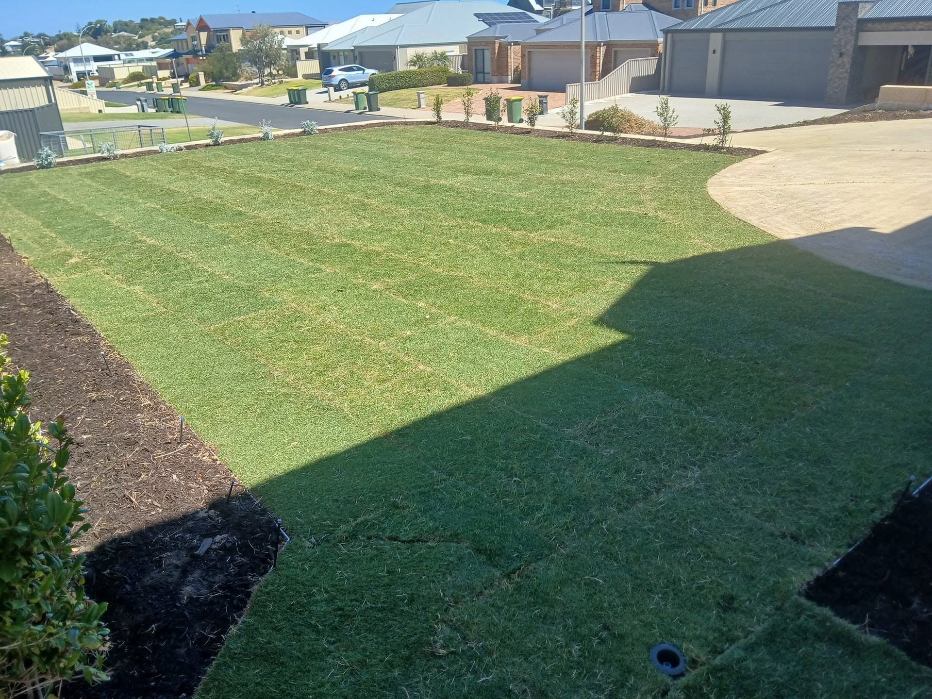Lawn Replacement Solutions