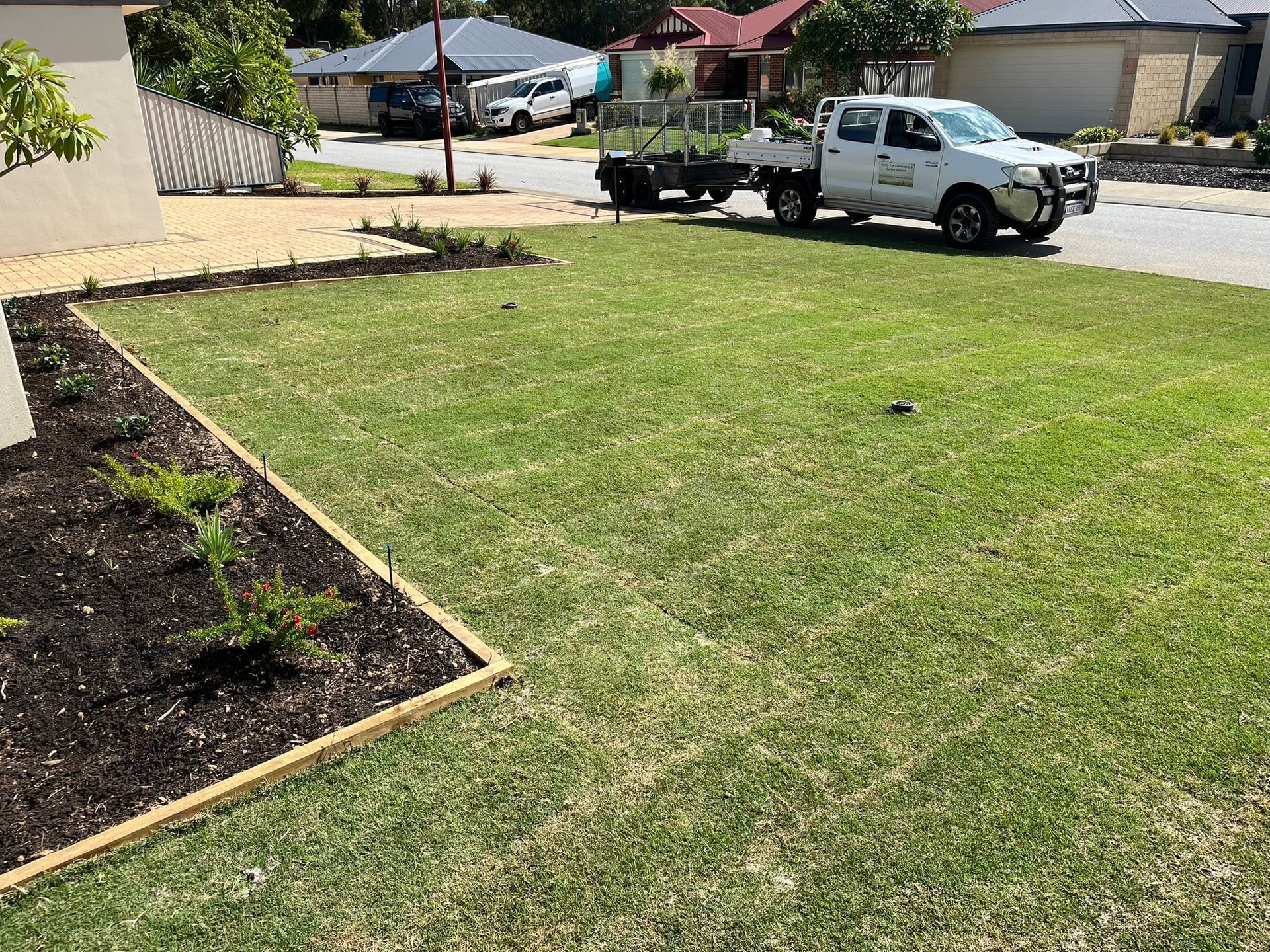 Turf Installation