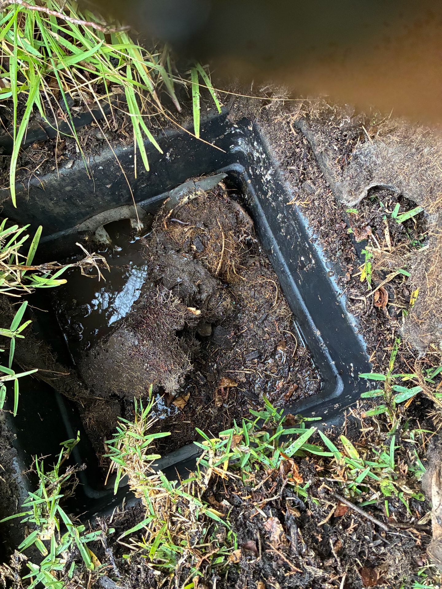 Blocked Drain Clearing