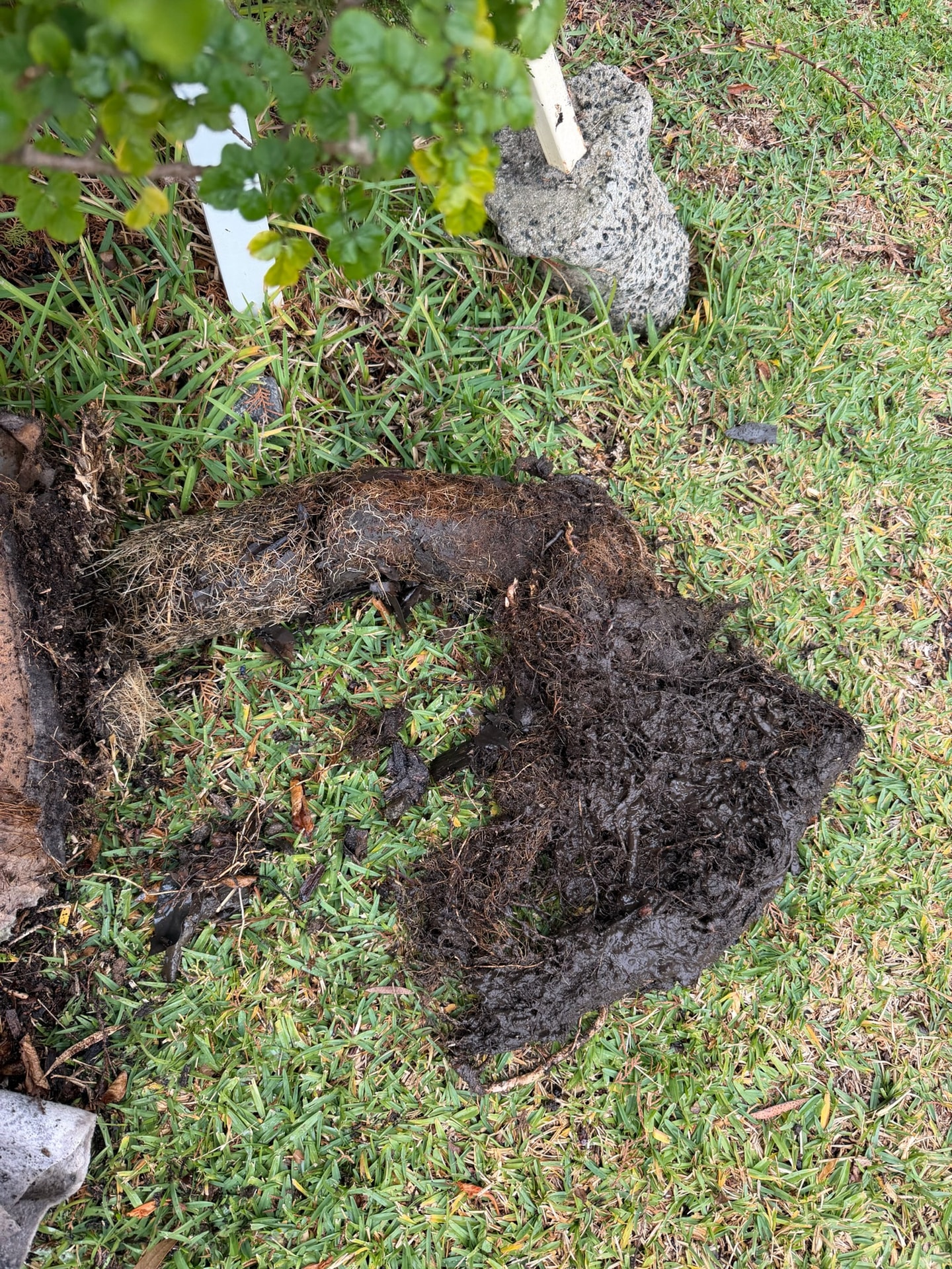 Fast Blocked Drain Clearing