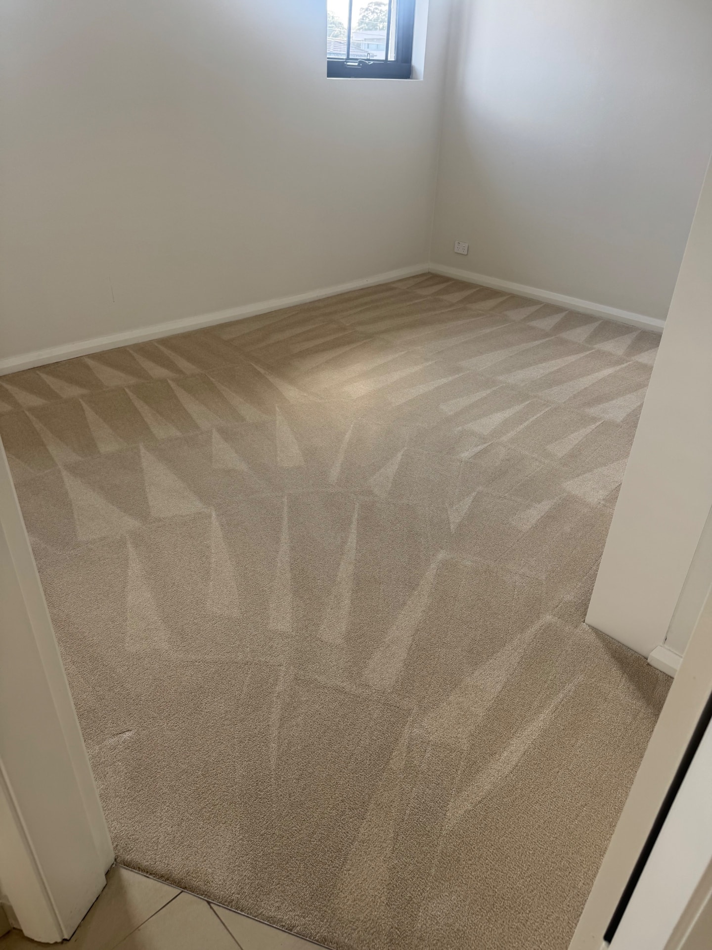 Carpet Cleaning