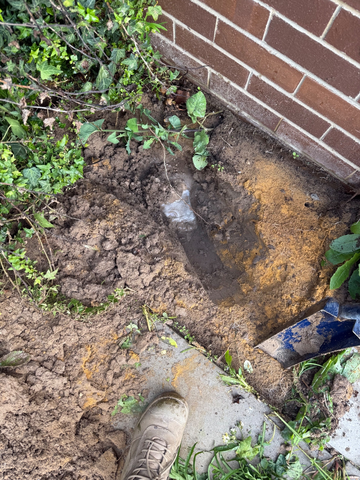 Leak Detection - Cooloongup