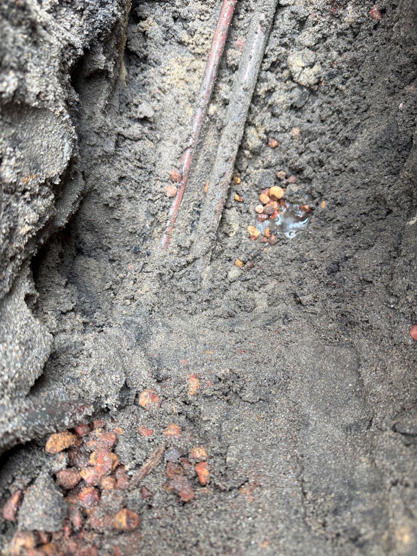 Leak Detection - Erskine