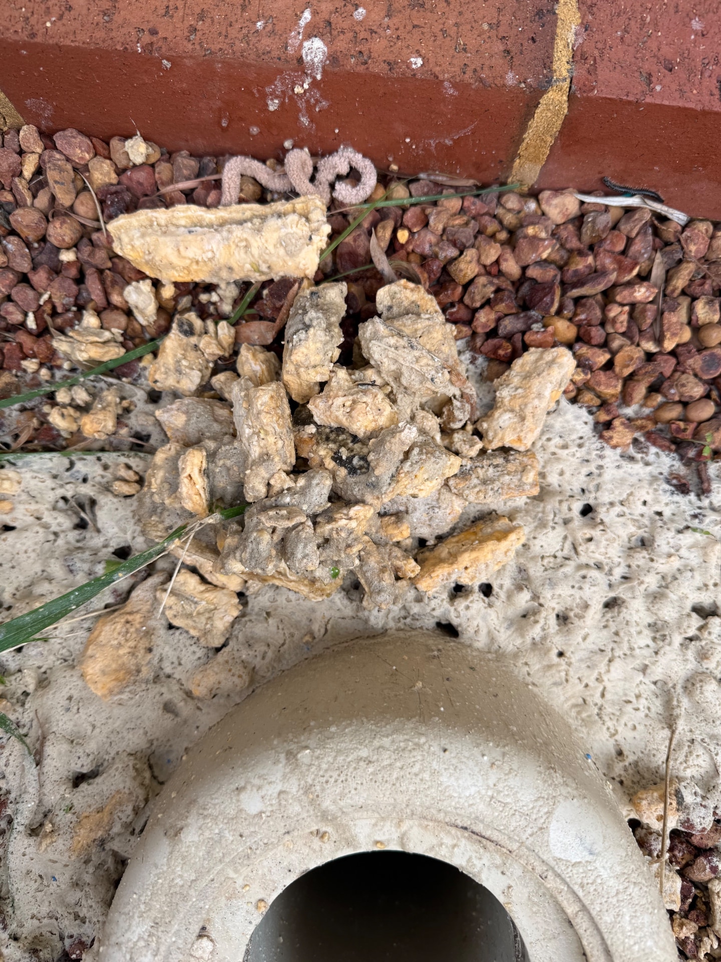 Blocked Drains - Lakelands