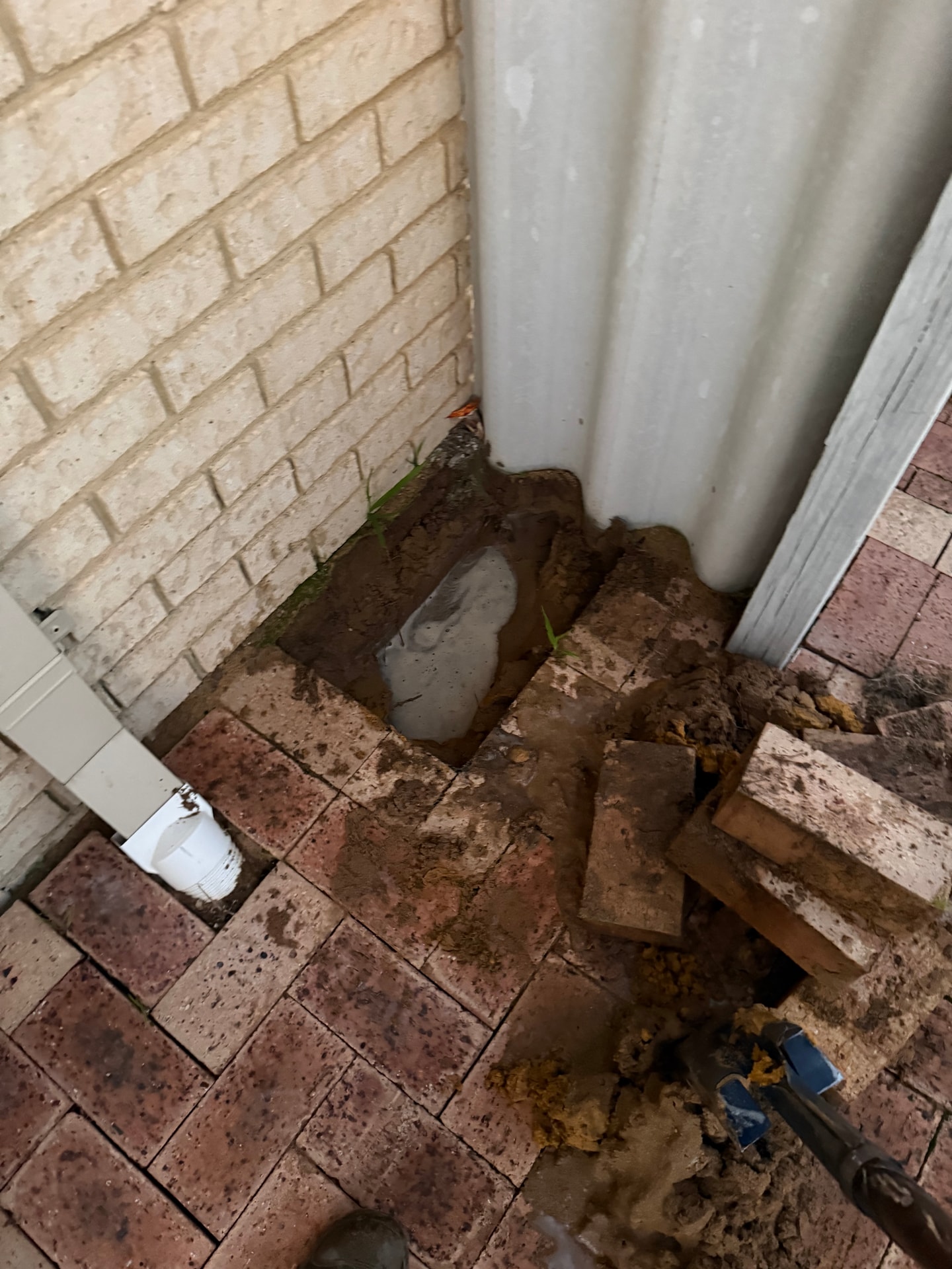 Leak Detection - Halls Head