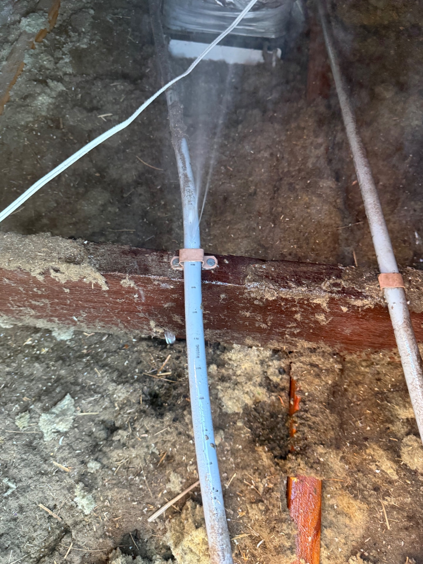 Leak Detection - Warnbro