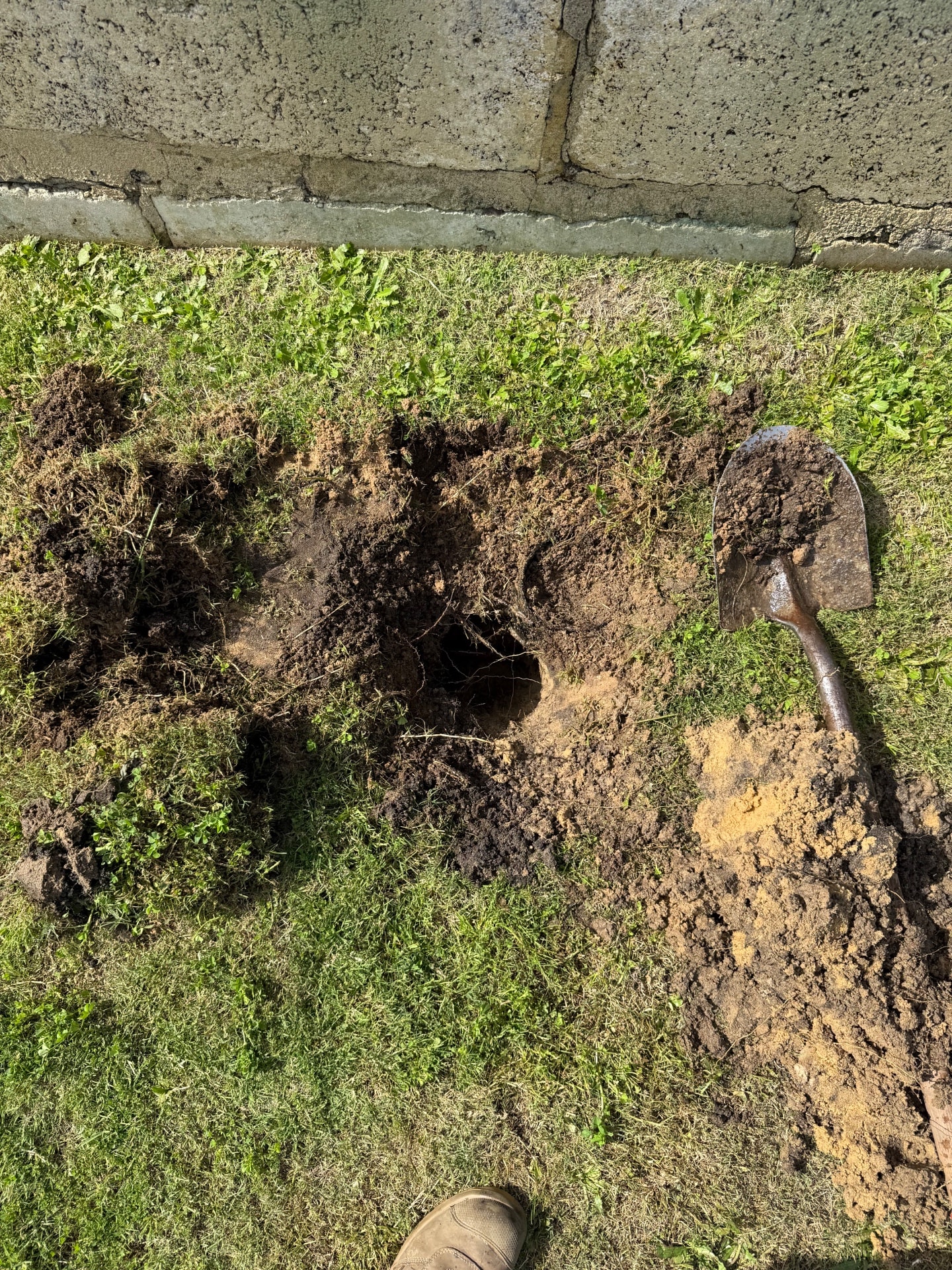 Leak Detection - Dawesville
