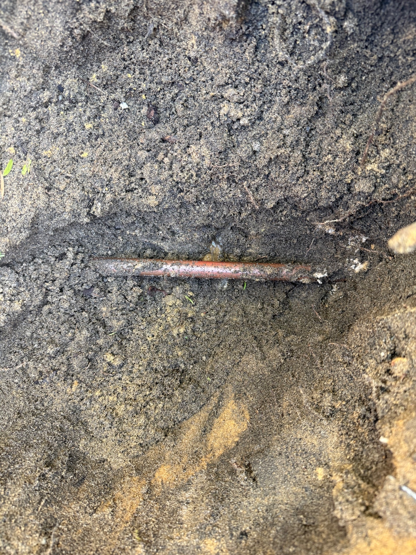 Leak Detection - Halls Head