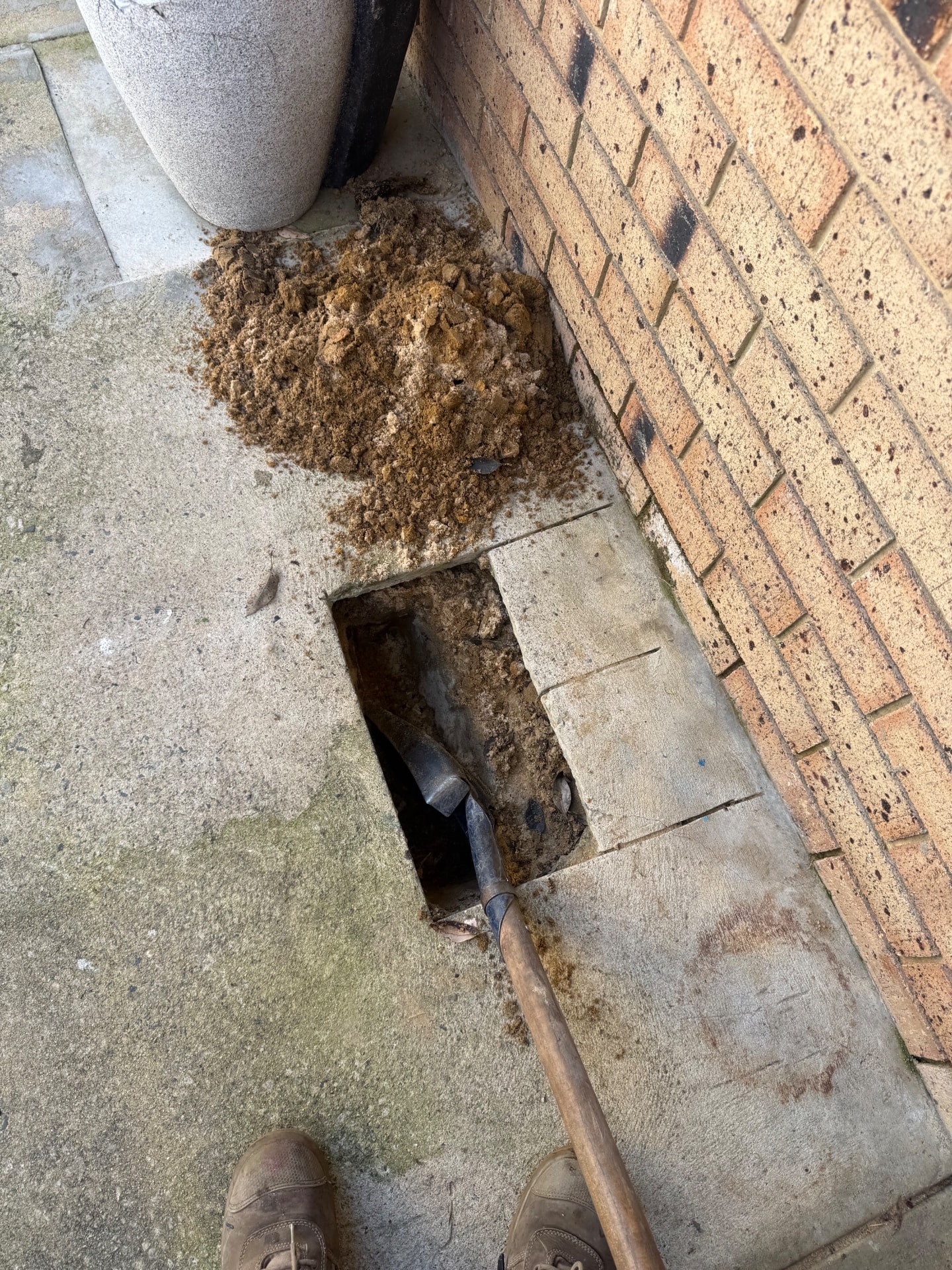 Leak Detection - Falcon