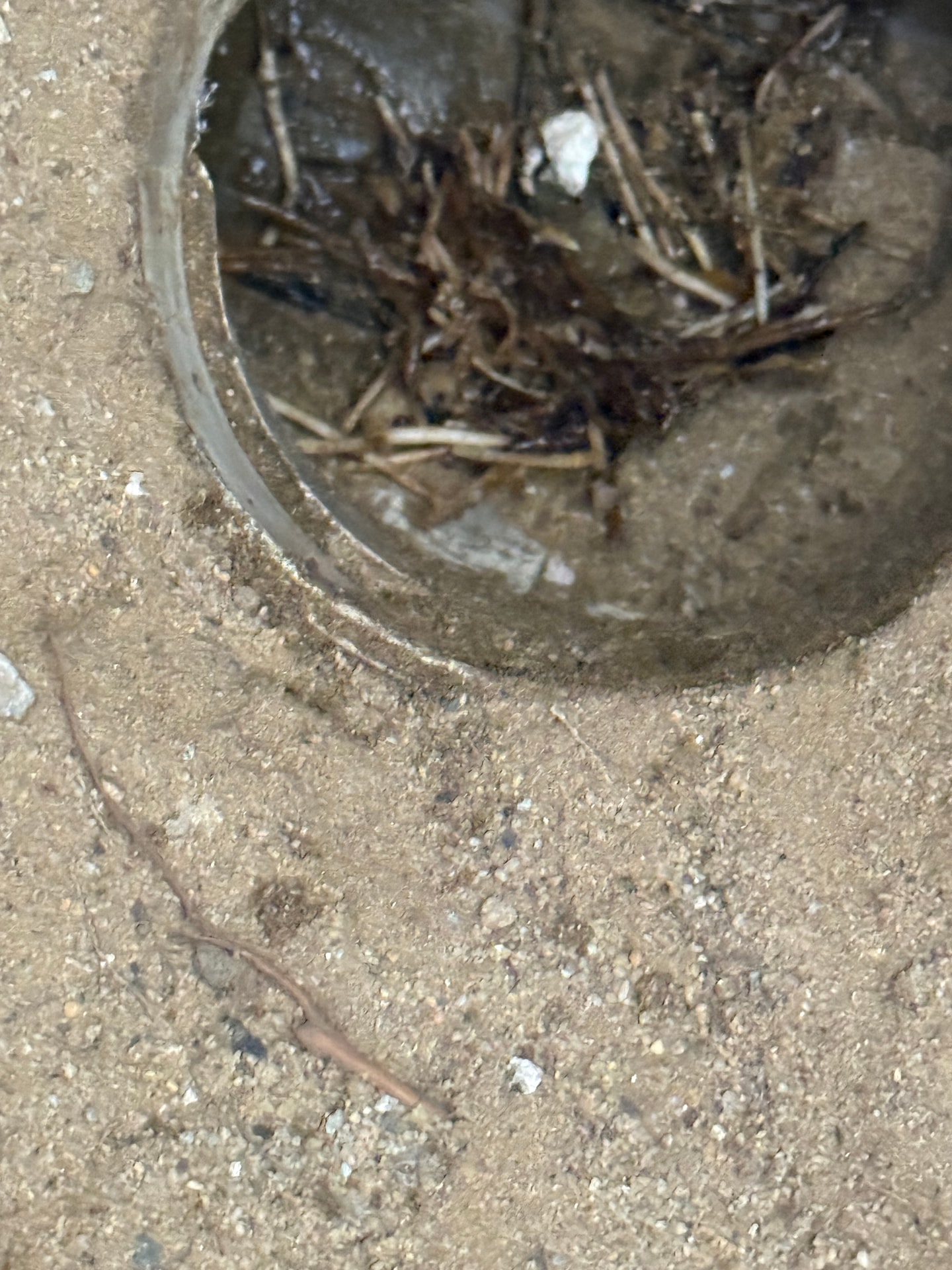 Blocked Drains - Mandurah