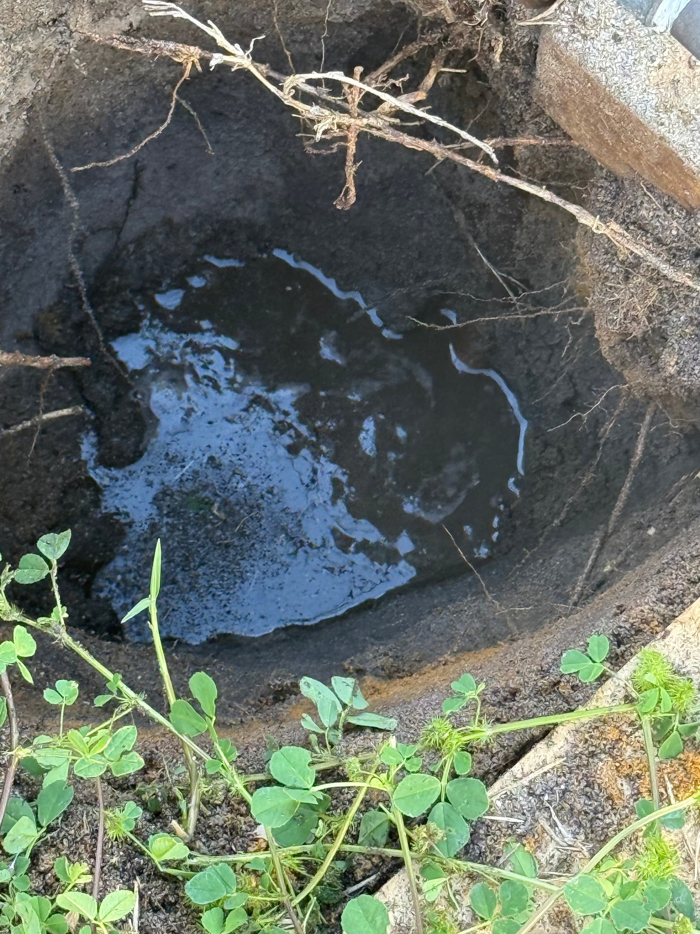Leak Detection - Coodanup