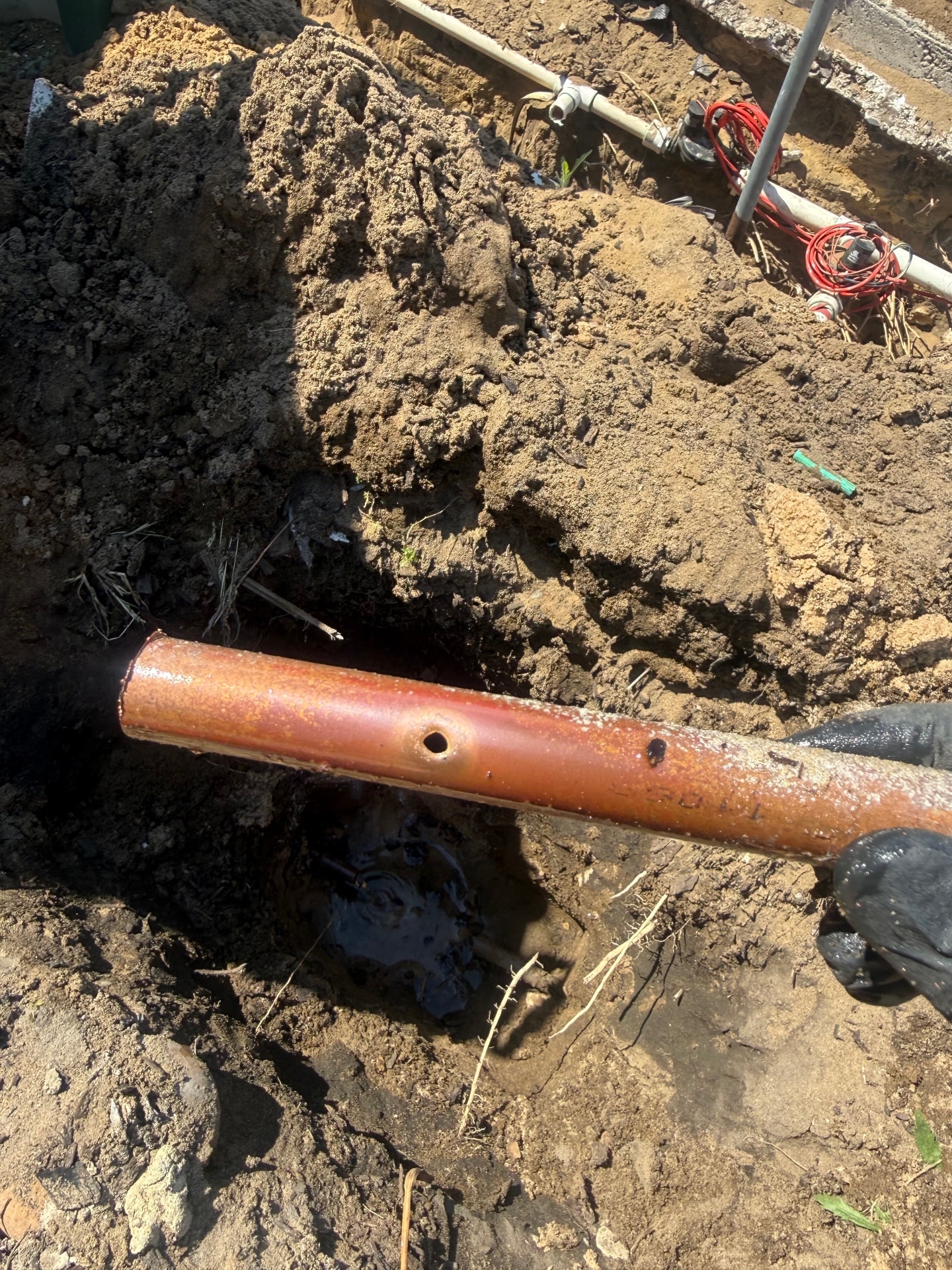 Leak Detection - Bertram