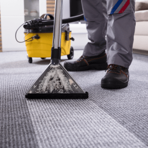 Carpet Cleaners