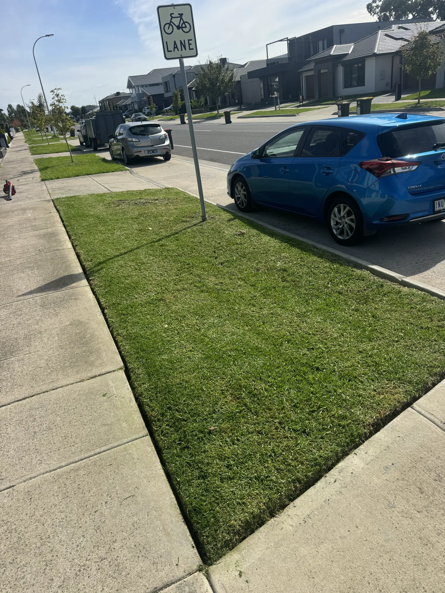 Mowing and Edging Lawns