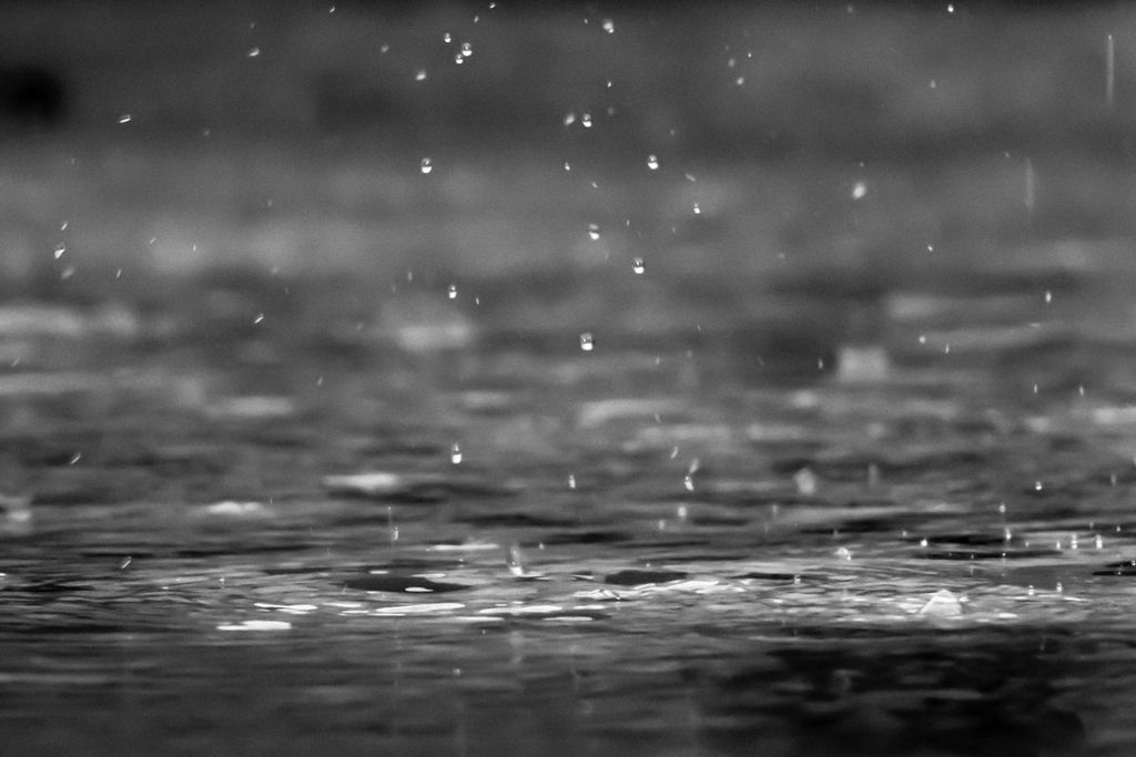 Your 6-Step Plan For DIY Stormwater Maintenance